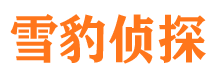 九江外遇调查取证